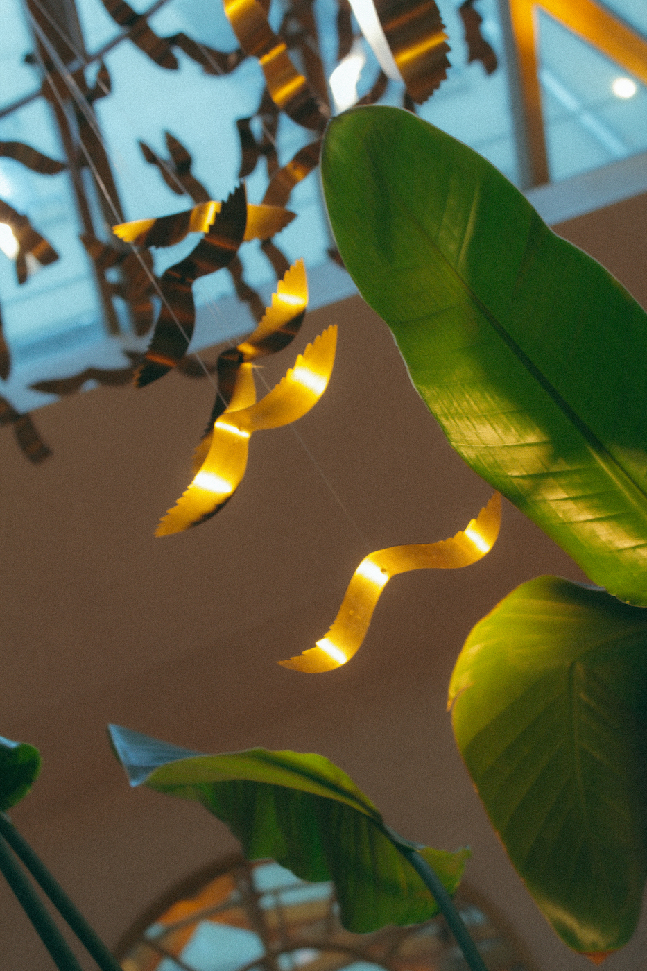 Suspension lumineuse en rubans de laiton ondulés suspendus au plafond, évoquant des éclats de lumière flottant parmi des feuilles tropicales en intérieur sous verrière
